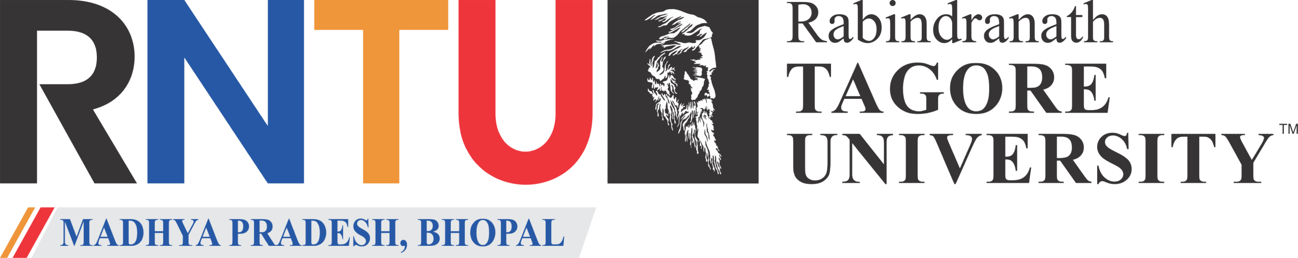 Partner Logo
